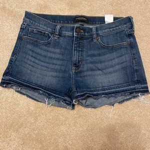 Banana Republic Dark Wash Denim Shorts